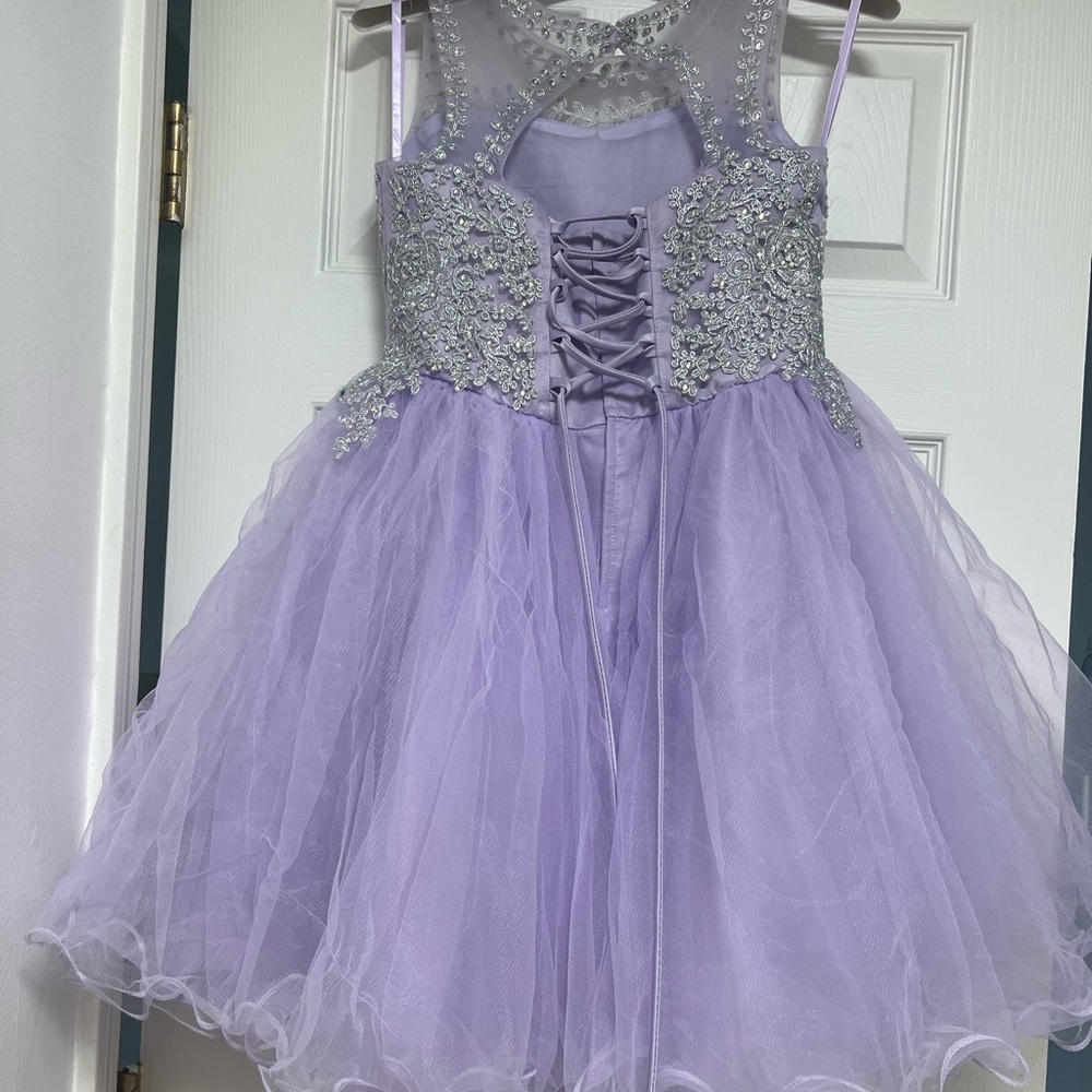 Purple & silver  Formal Dress - Picture 5 of 8